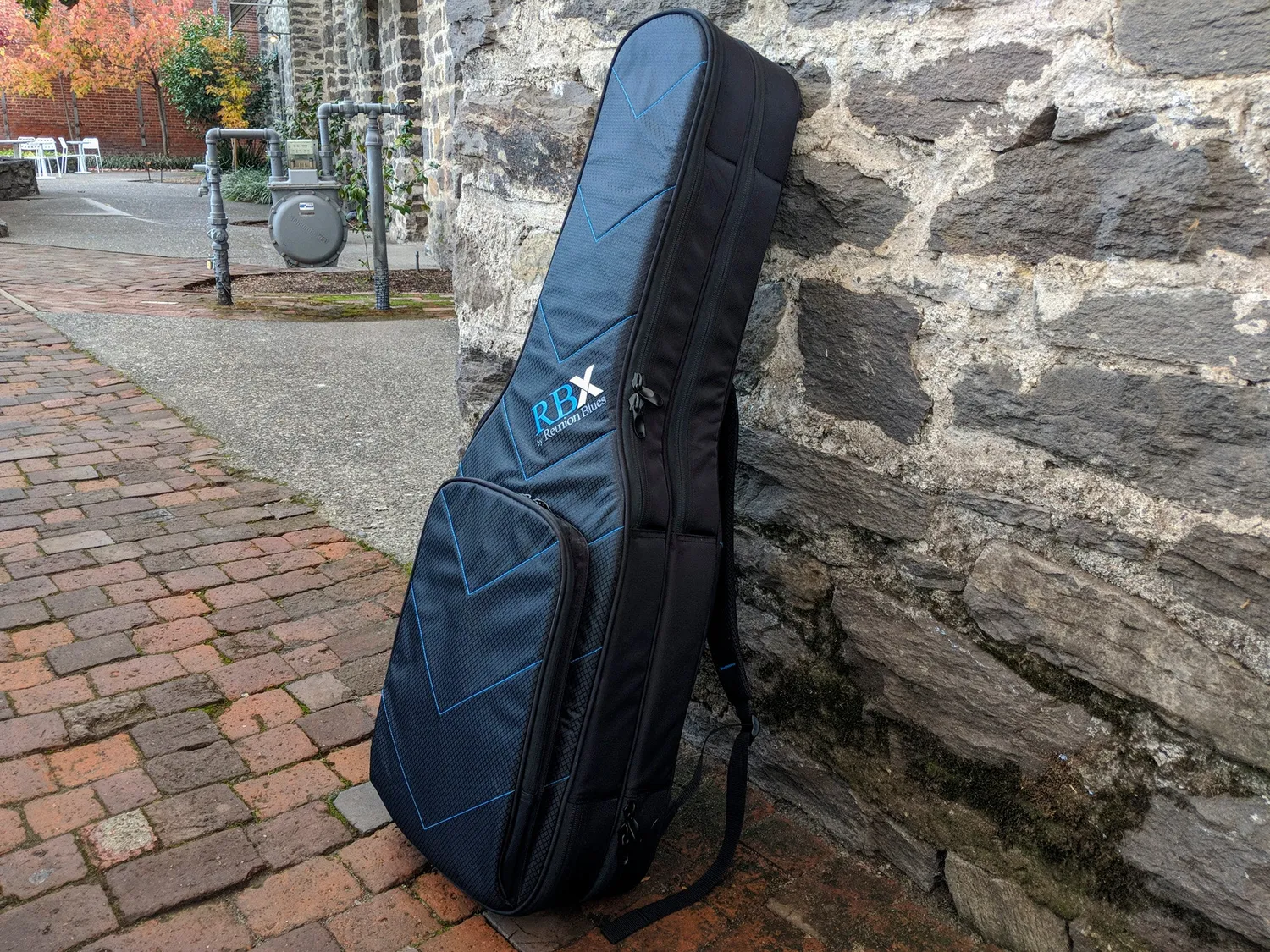 Reunion Blues RBX Double Electric housse 2 guitares électriques