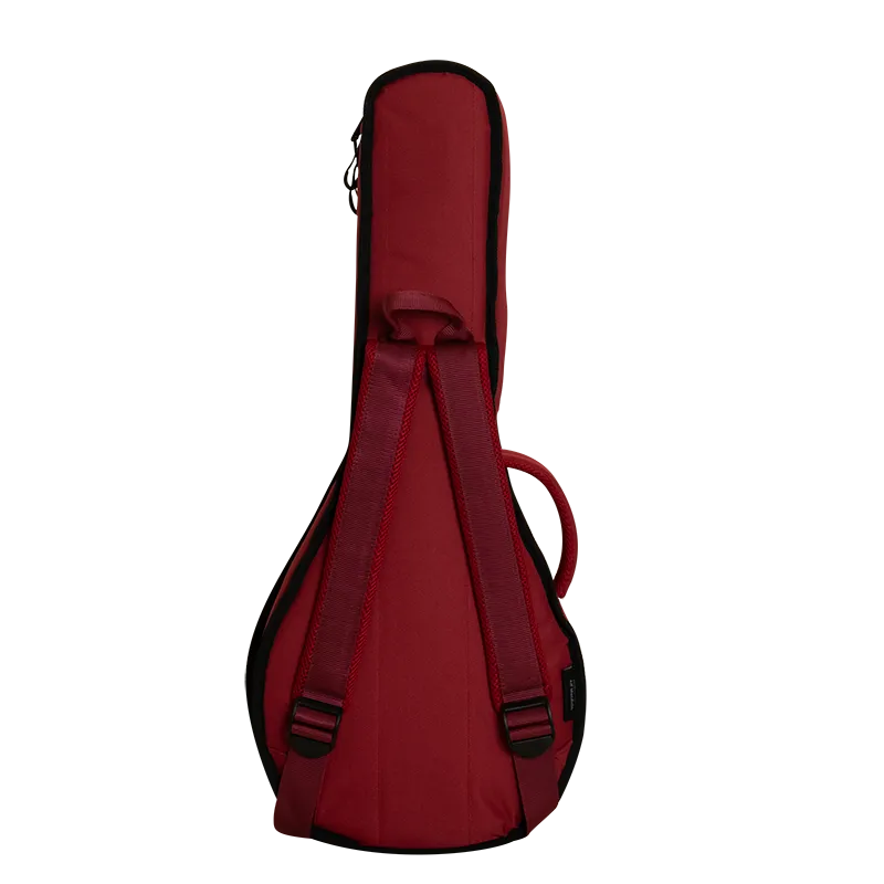 Ritter Davos A/F Mandolin housse mandoline