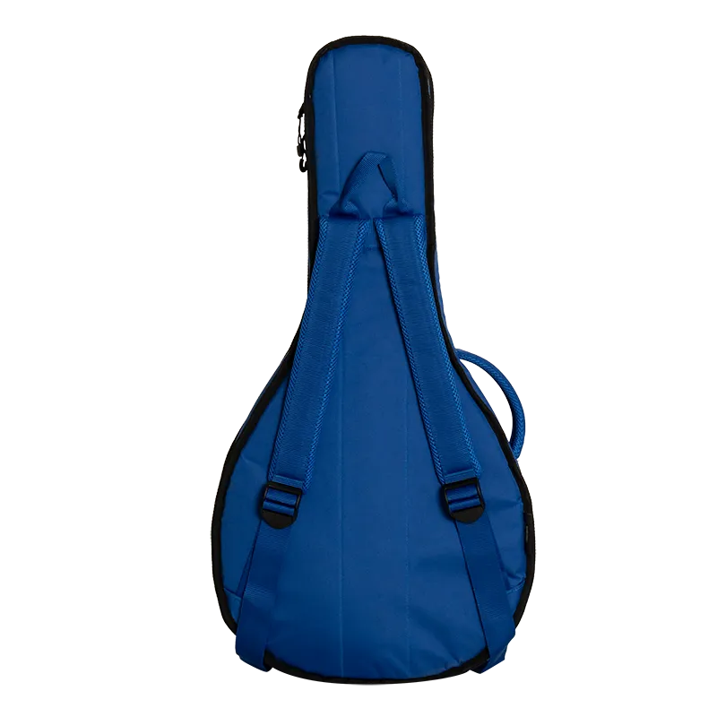 Ritter Davos Mandola housse mandole