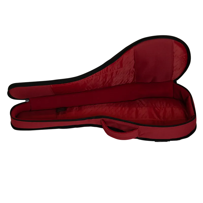 Ritter Davos A/F Mandolin housse mandoline