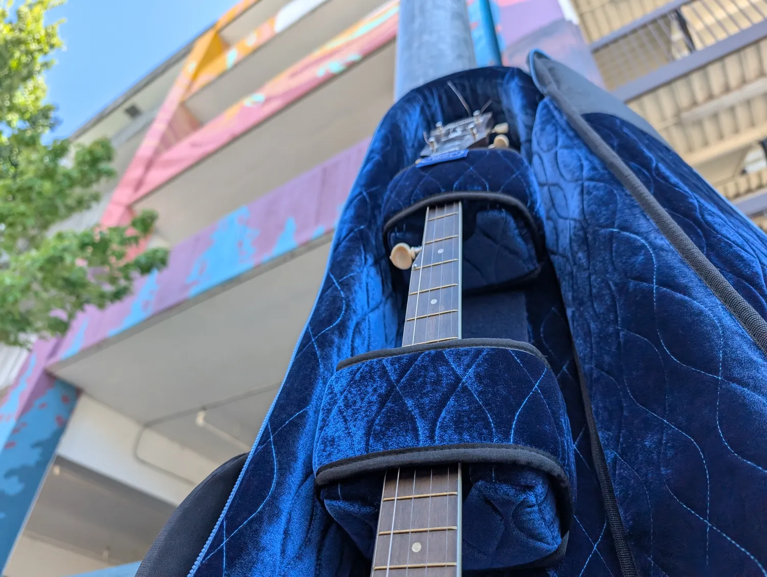Reunion Blues Expedition étui banjo Flexoskeleton balistique