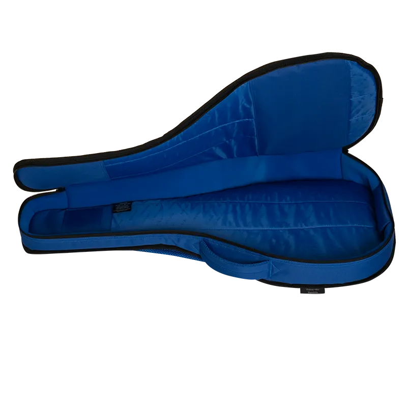 Ritter Davos Mandola housse mandole