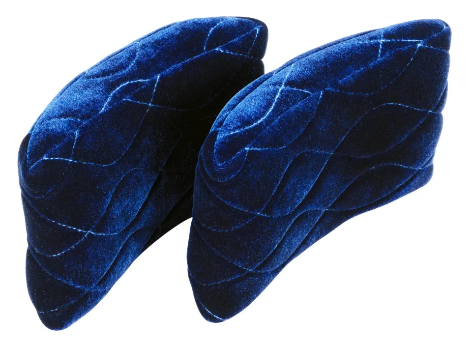Reunion Blues Expedition lot 2 coussins guitare rechange