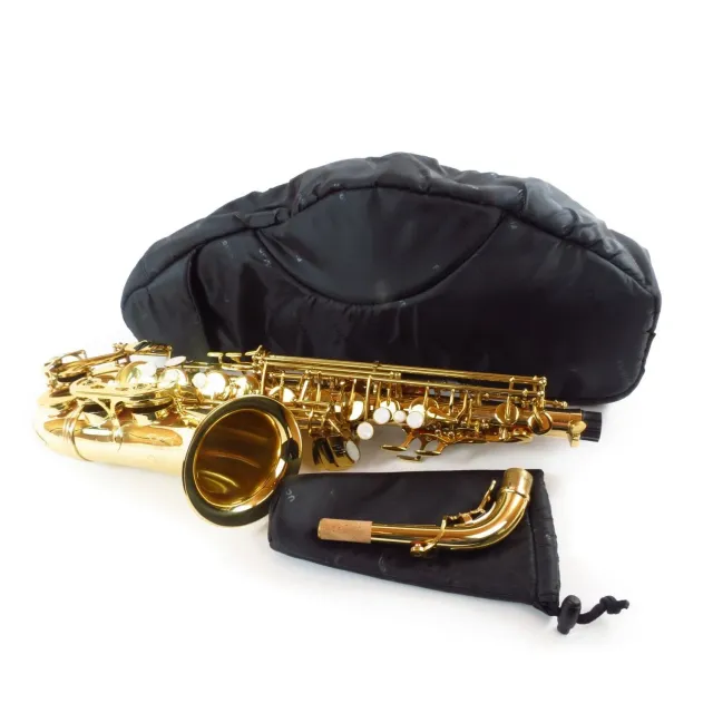 Fusion Bags Alto Saxophone Sleeve housse saxophone alto 10 mm